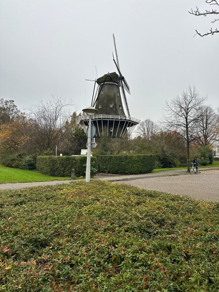 Travel photo