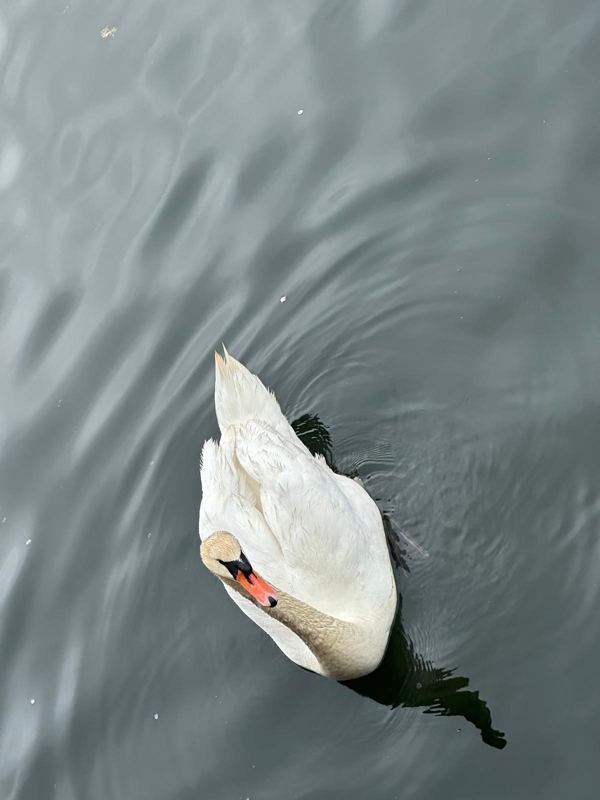 Travel photo